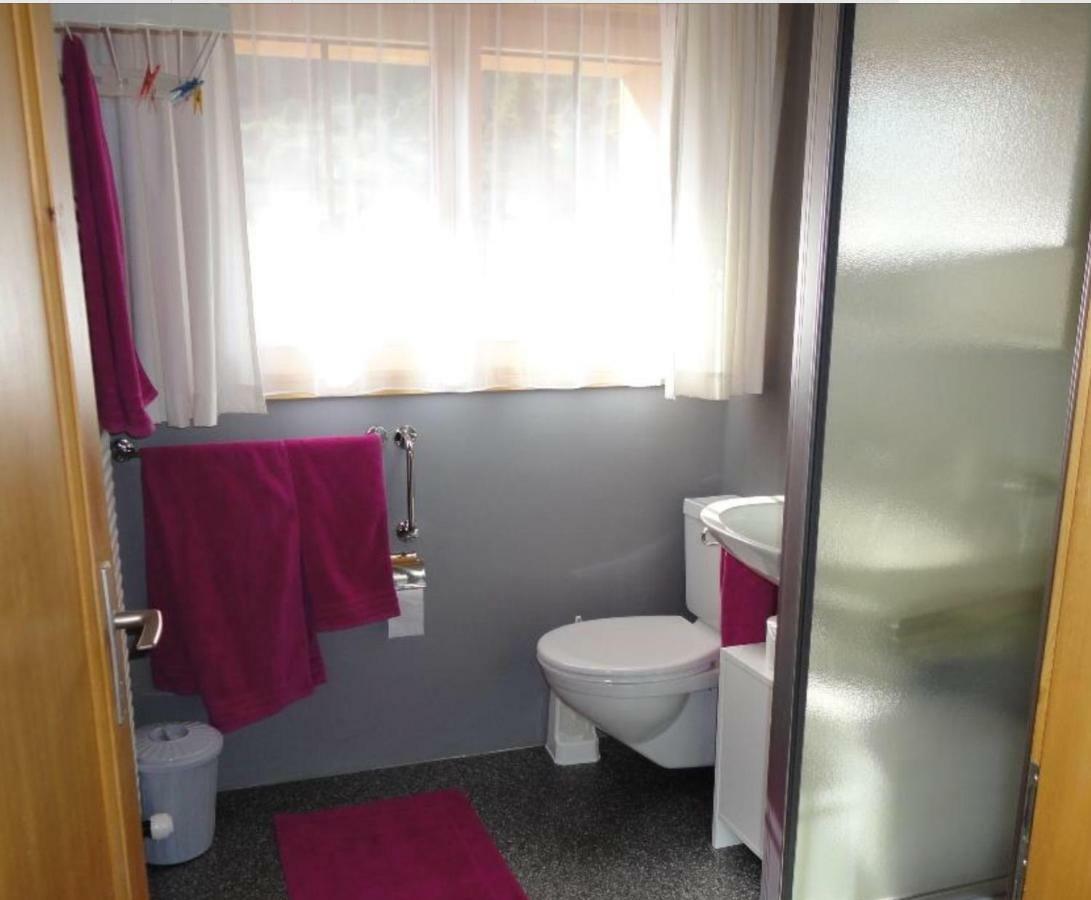 Haus Wiedersehn Goms エクステリア 写真